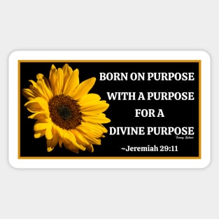 Born On Purpose! Sticker